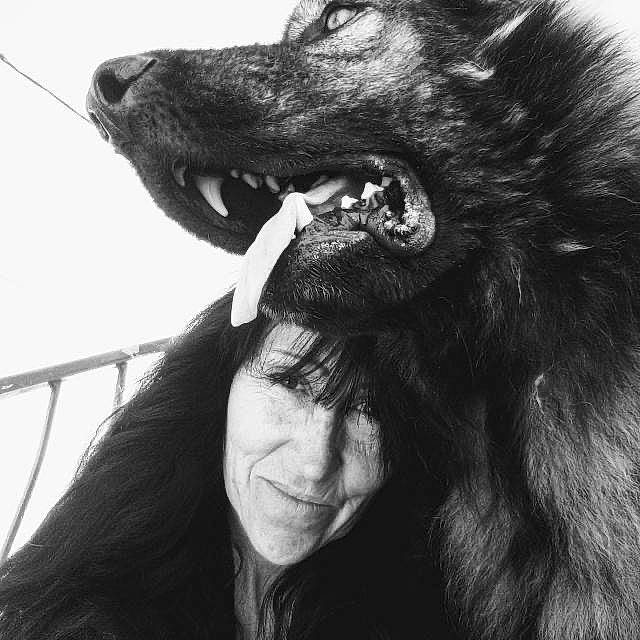 Volko a rejoint le concours — aidez-le/la à gagner de superbes lots ! black, black_hair, carnivore, companion_dog, dog, dog_breed, ear, flash_photography, gesture, happy, jaw, long_hair, mammal, monochrome_photography, smile, snout, style, vertebrate, white, working_animal