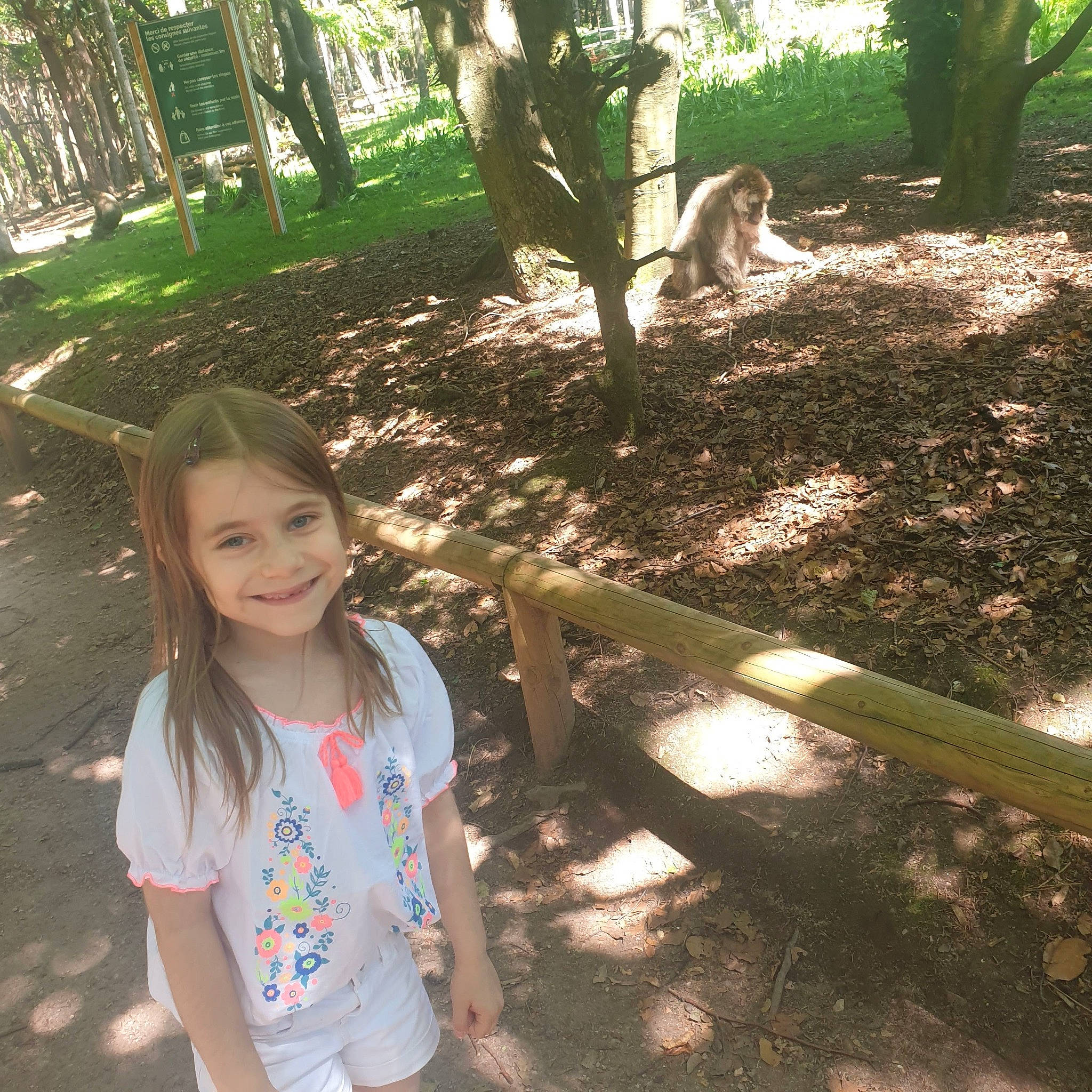 Sofia participe au concours pour gagner de l'argent avec cette photo : botany, branch, grass, green, happy, joy, leaf, leisure, light, mammal, nature, people_in_nature, person, plant, shade, smile, sunlight, tree, trunk, vertebrate
