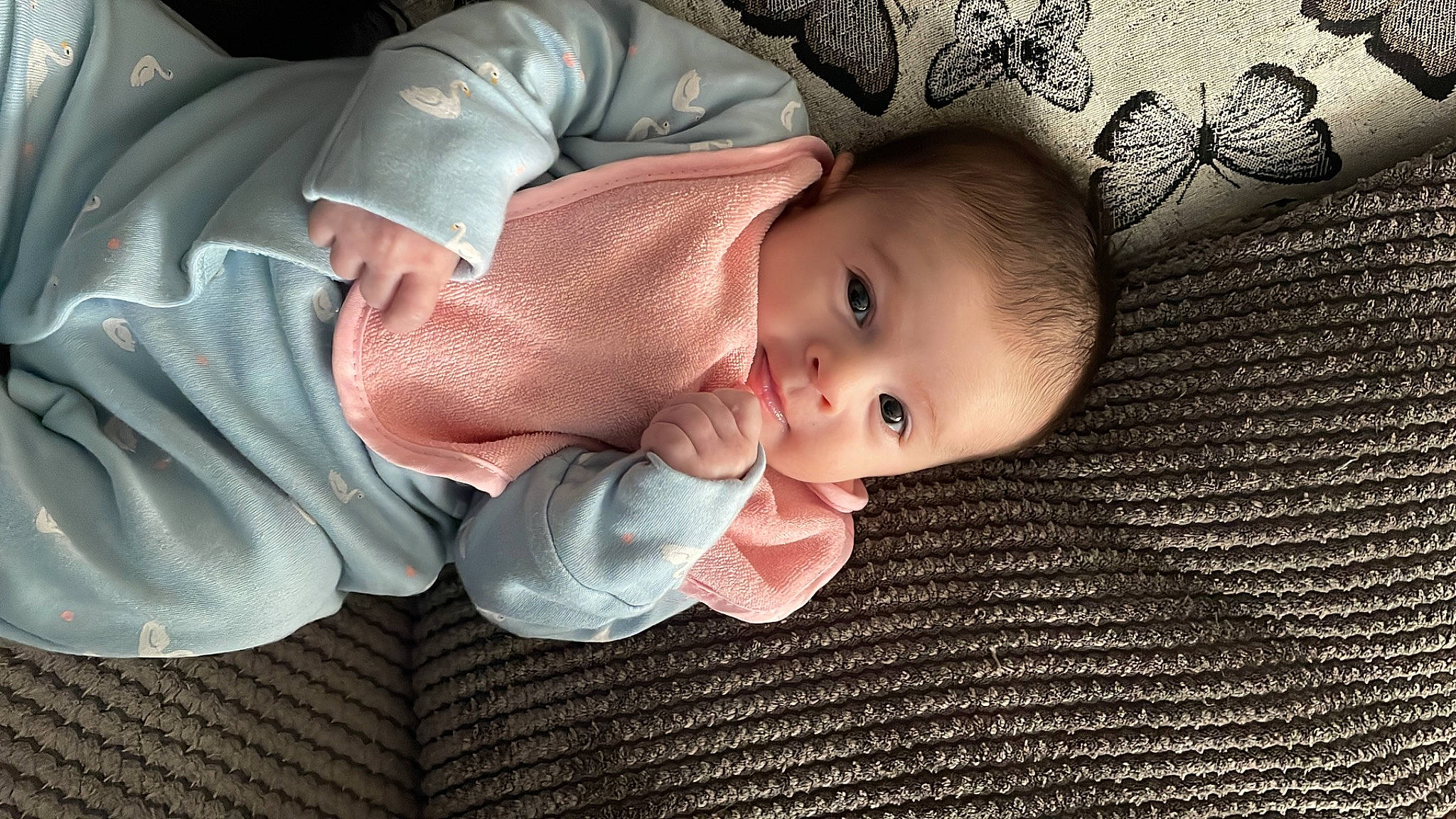 Harper is registered to the contest to win money with this photo: baby, baby_products, baby_toddler_clothing, cheek, child, comfort, finger, gesture, grass, linens, nose, pattern, person, portrait_photography, sitting, skin, sleeve, thumb, toddler, tree