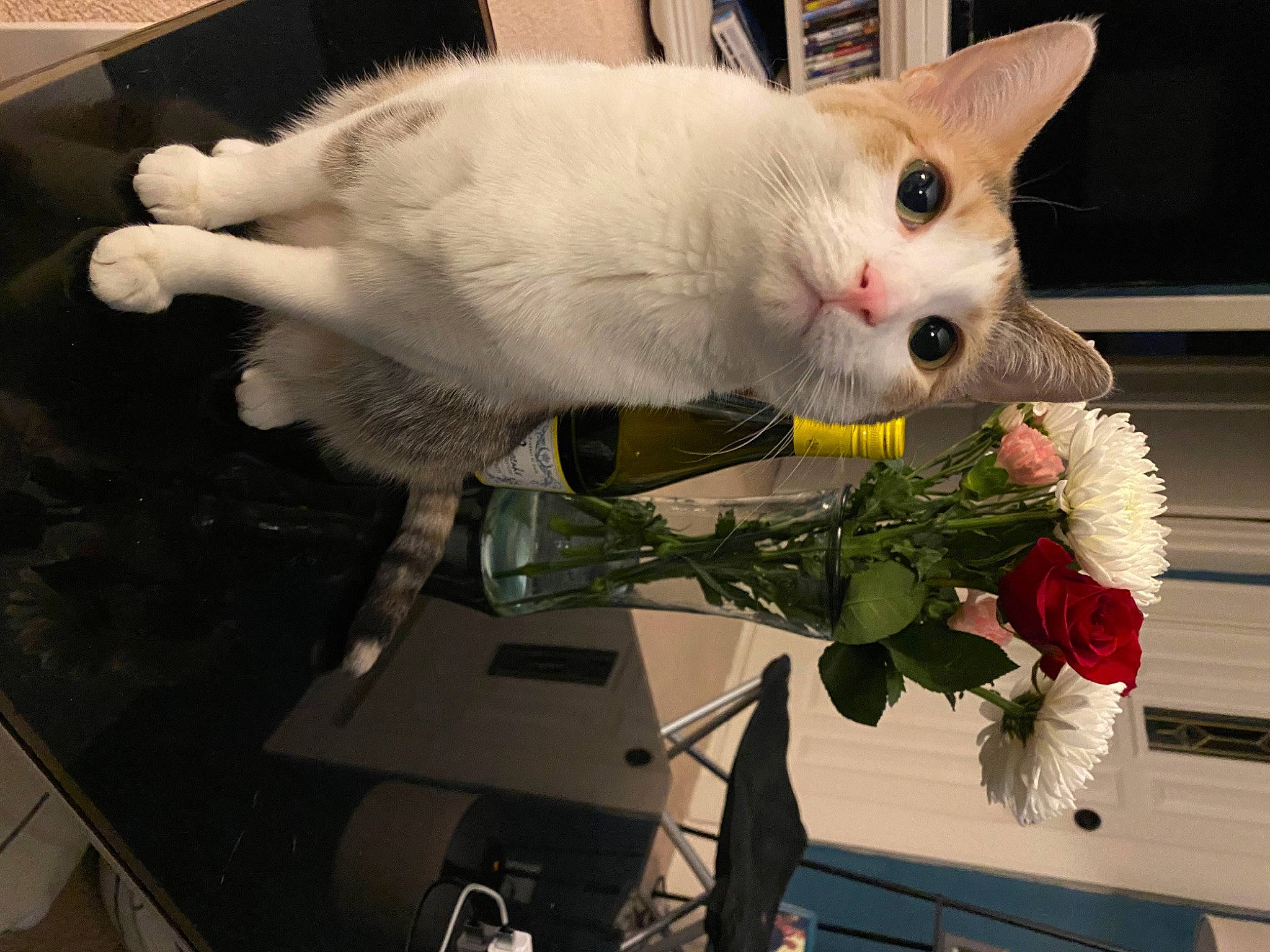 Kalli is registered to the contest to win money with this photo: artificial_flower, bouquet, carnivore, cat, cut_flowers, domestic_short_haired_cat, felidae, floral_design, flower, flower_arranging, flowering_plant, flowerpot, fur, paw, petal, plant, small_to_medium_sized_cats, snout, tail, whiskers