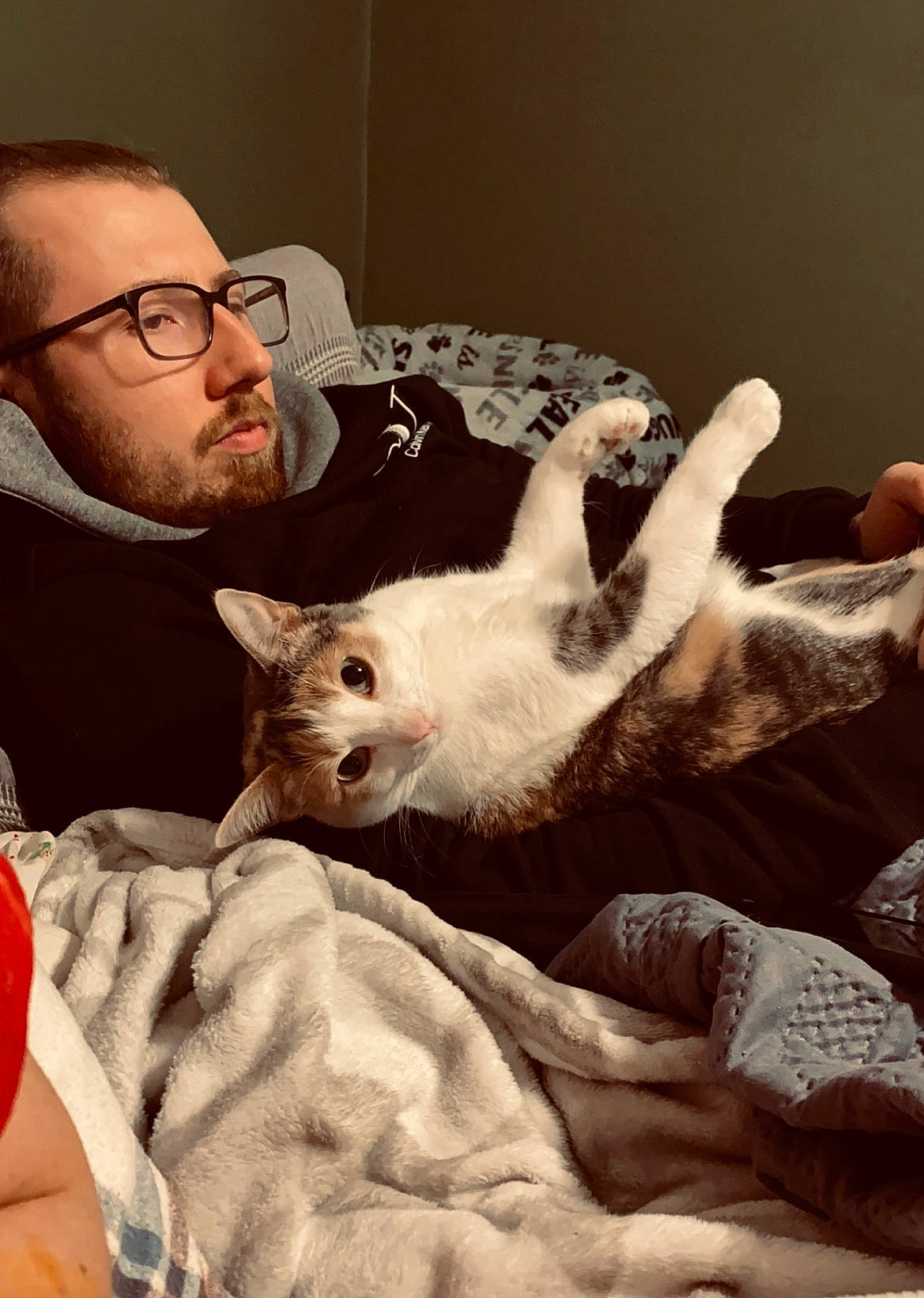 Kalli is registered to the contest to win money with this photo: beard, bed, carnivore, cat, comfort, companion_dog, domestic_short_haired_cat, ear, eyewear, fawn, felidae, fur, gesture, glasses, lap, paw, selfie, small_to_medium_sized_cats, tail, whiskers