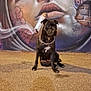 dog, black_dog, street_art, mural, graffiti, pavement, smoke, chain_collar, artistic, urban, portrait, face_paint, wall, sitting, night, outdoor, canine, expression, closeup, texture
