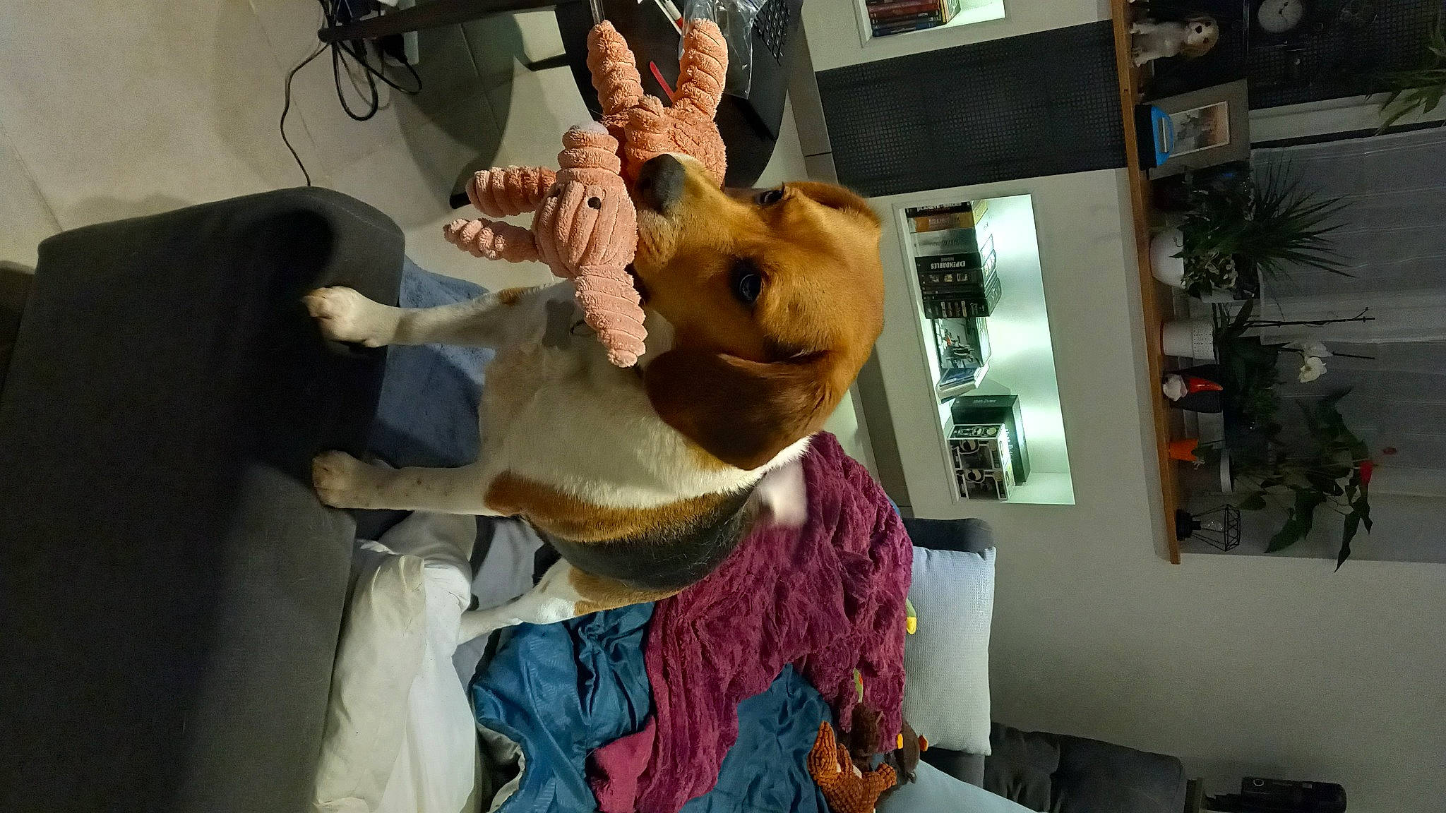 Snoopy a rejoint le concours — aidez-le/la à gagner de superbes lots ! animation, event, fawn, felidae, fun, fur, fur_clothing, gesture, houseplant, mascot, picture_frame, plant, plush, room, selfie, stuffed_toy, sunglasses, toy, whiskers