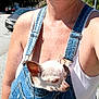 Lola joined the competition — help win amazing prizes! woman, dog, denim_overalls, small_dog, chihuahua, outdoor, sunlight, street, car, tattoo, white_tank_top, casual_clothing, pet, animal, portrait, close_up, nature, trees, daytime, urban