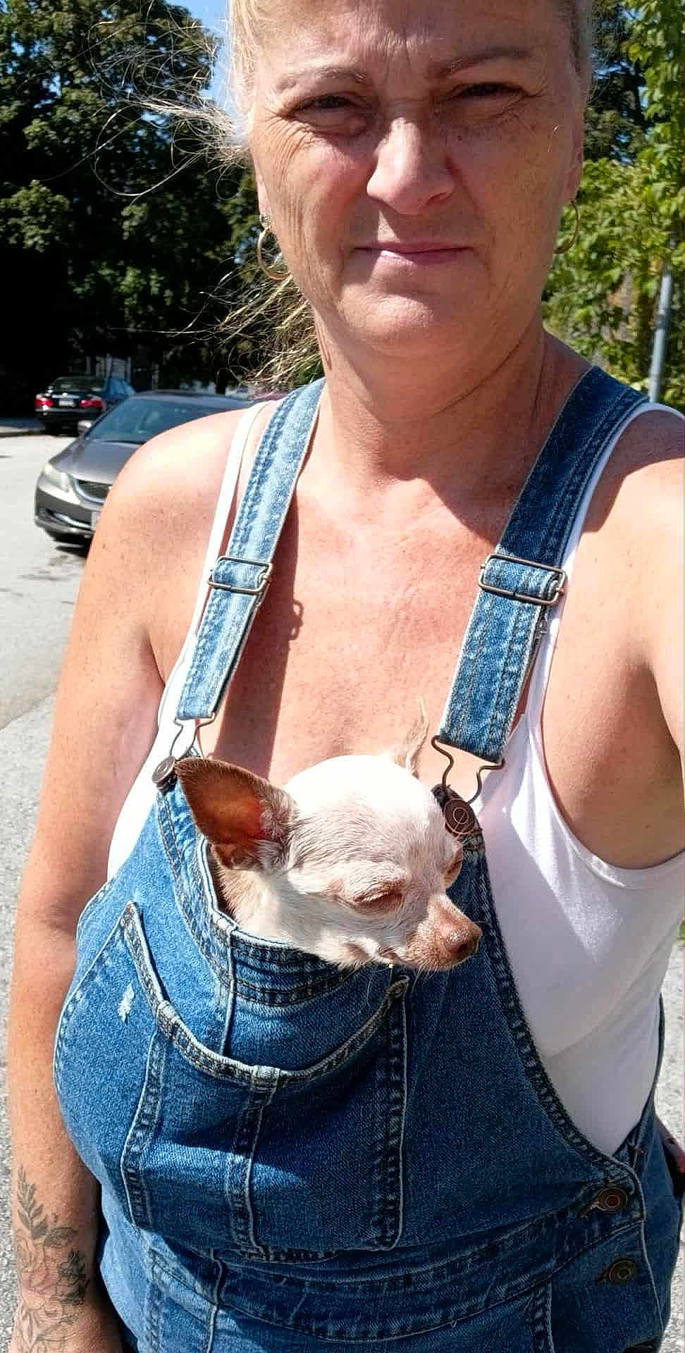 Lola joined the competition — help win amazing prizes! woman, dog, denim_overalls, small_dog, chihuahua, outdoor, sunlight, street, car, tattoo, white_tank_top, casual_clothing, pet, animal, portrait, close_up, nature, trees, daytime, urban