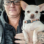 Roxi is registered to the contest to win money with this photo: animal, casual, chihuahua, closeup, collar, companion, dog, face, glasses, hand, holding, hoodie, indoor, person, pet, portrait, ring, short_hair, tattoo, woman