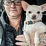animal, casual, chihuahua, closeup, collar, companion, dog, face, glasses, hand, holding, hoodie, indoor, person, pet, portrait, ring, short_hair, tattoo, woman