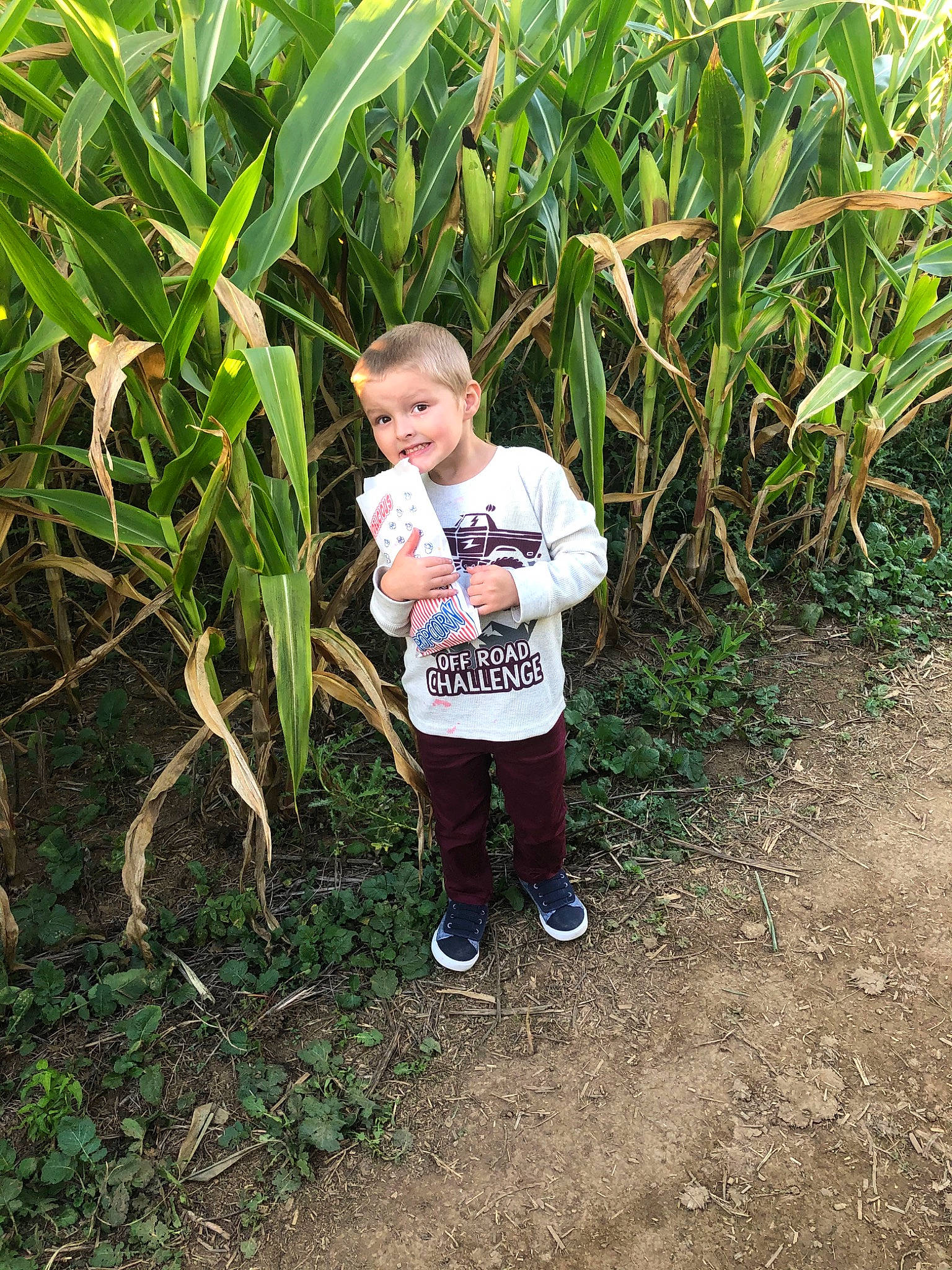 Ryder is registered to the contest to win money with this photo: adaptation, agriculture, botany, child, crop, flower, grass, grass_family, joy, person, plant, soil, toddler