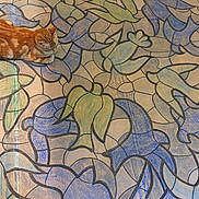 Zélos a rejoint le concours — aidez-le/la à gagner de superbes lots ! animal, architecture, art, building, cat, flagstone, floraldesign, graphics, kitten, manx, mosaic, mural, painting, path, pattern, pet, slate, tile, walkway, wall