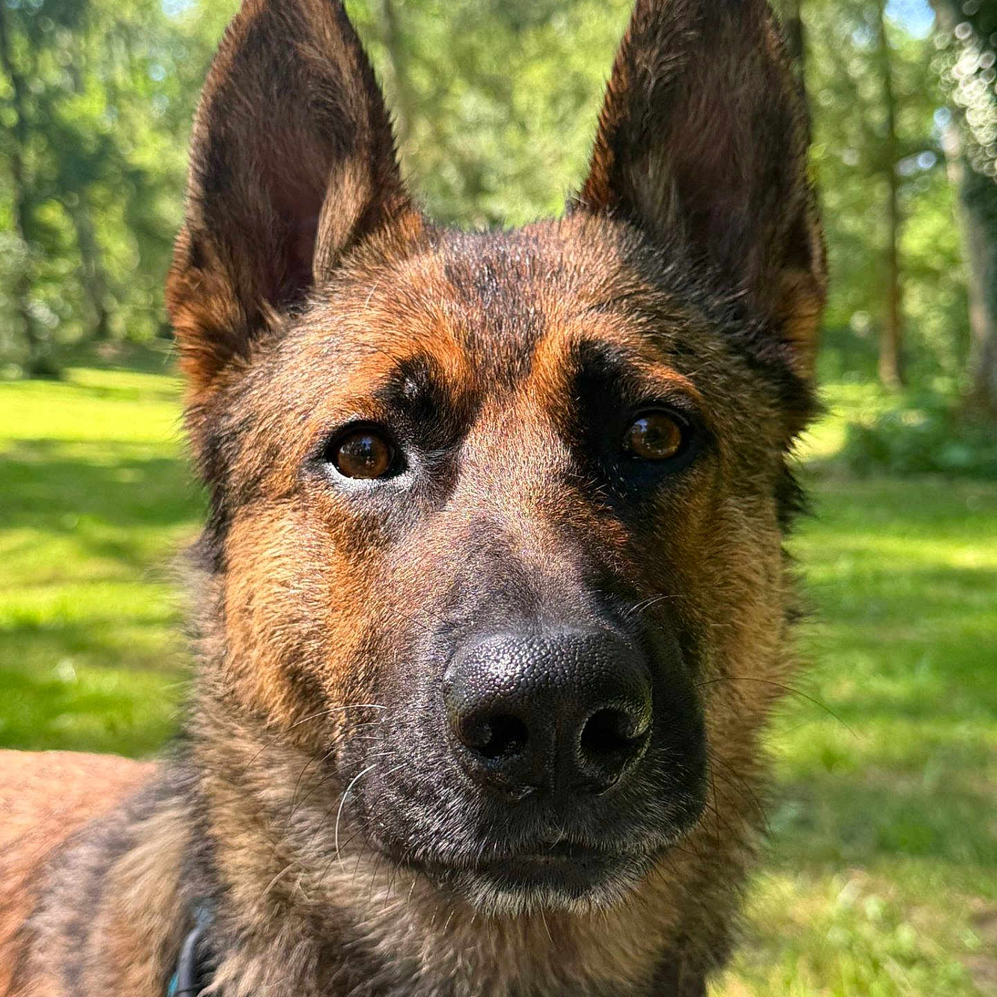 Sam