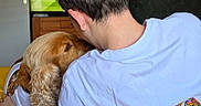 Sterling participe au concours pour gagner de l'argent avec cette photo : dog, puppy, person, back_view, white_shirt, golden_retriever, snuggling, television, sports, soccer, fifa_world_cup, indoor, couch, yellow_blanket, wooden_furniture, hair, ear, casual_clothing, relaxation, home