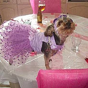 Channel participe au concours pour gagner de l'argent avec cette photo :