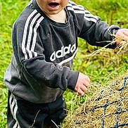 Tobias joined the competition — help win amazing prizes! adidas, child, clothing, curious, exploration, expression, grass, green_boots, hay, nature, netting, outdoor, pants, person, polka_dot, portrait, red_hair, standing, sweatshirt, toddler