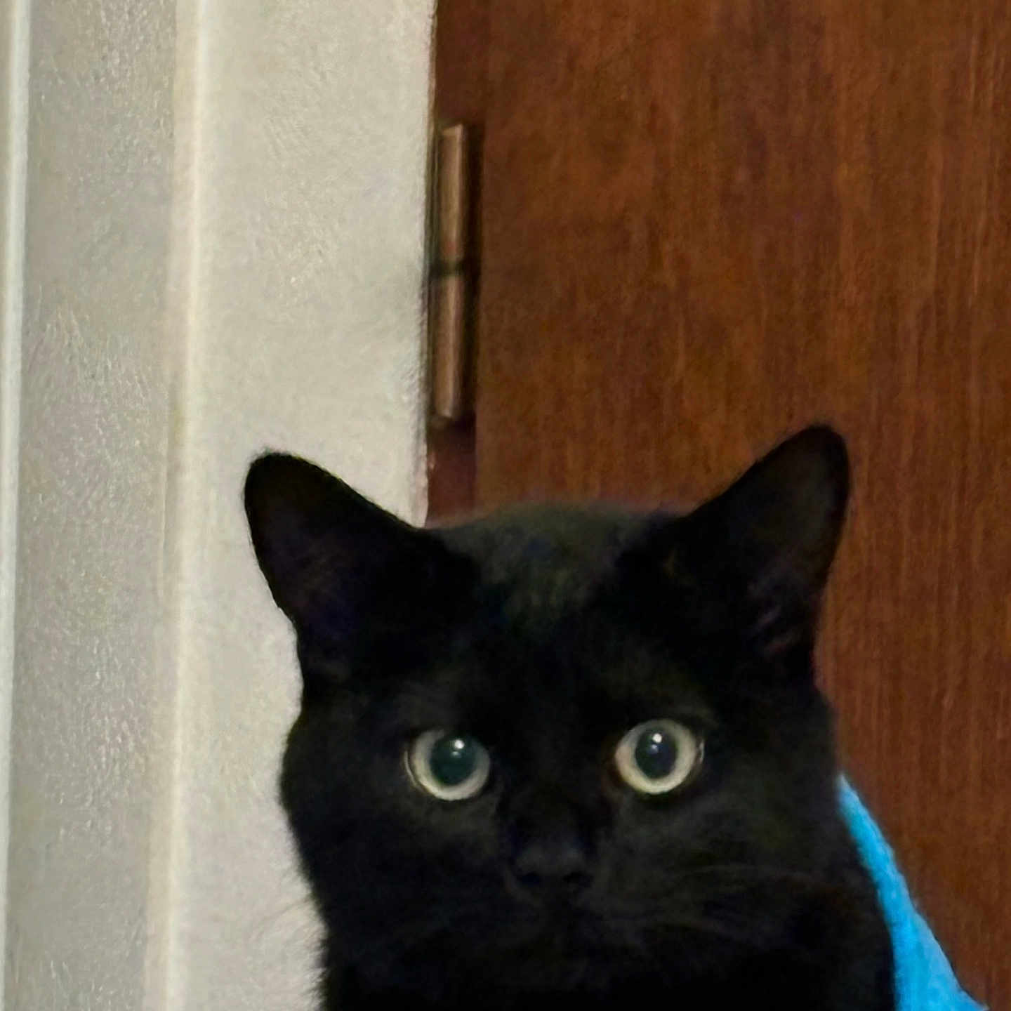 Bijou
