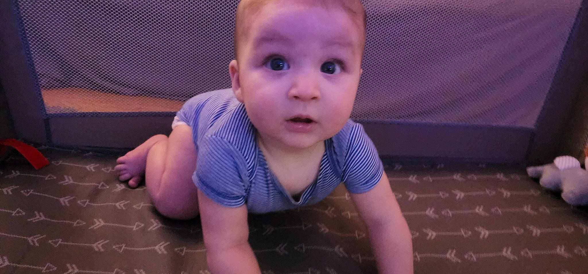 Emmitt joined the competition — help win amazing prizes! arm, baby, baby_toddler_clothing, cheek, crawling, elbow, electric_blue, face, flash_photography, flooring, fun, happy, human_leg, nail, nose, person, purple, skin, surprise, thumb