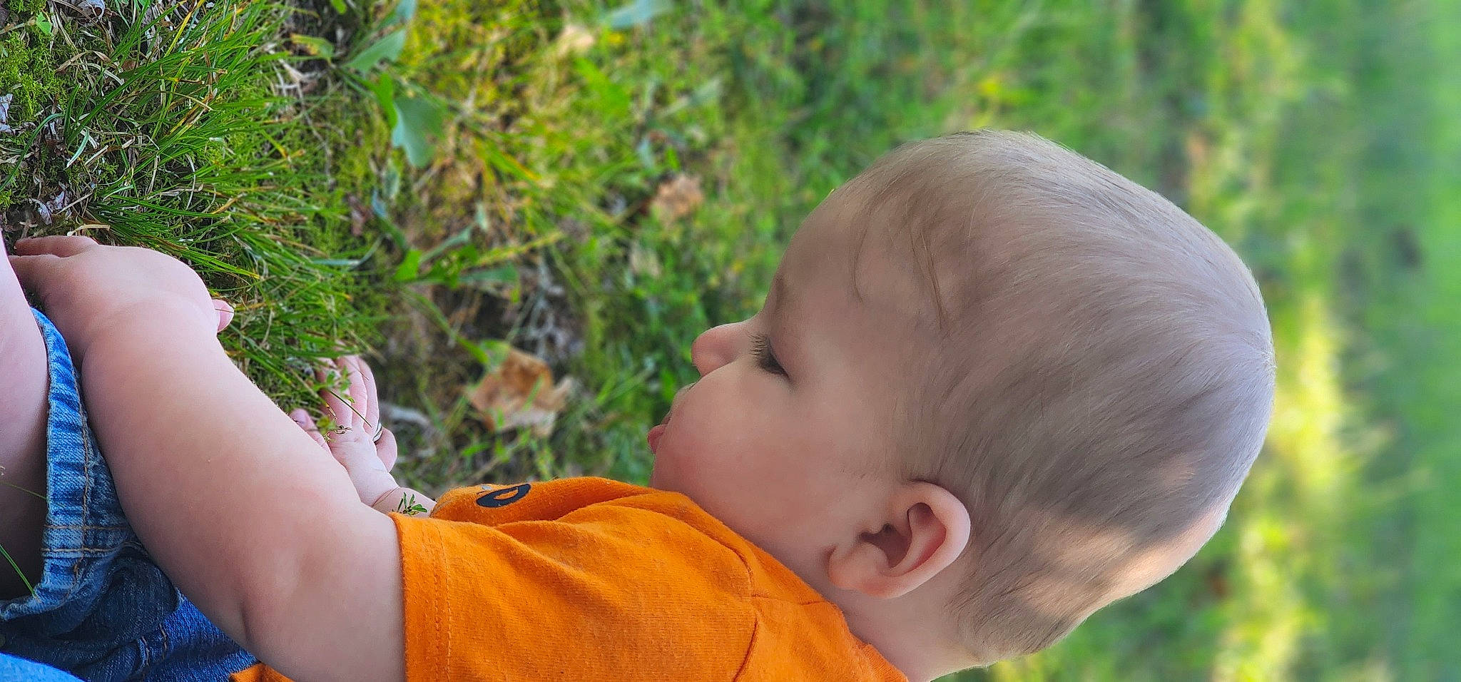 Emmitt is registered to the contest to win money with this photo: baby, child, forest, grass, happy, jungle, leaf, leisure, people_in_nature, person, plant, portrait_photography, t_shirt, toddler, tree, vacation, wood
