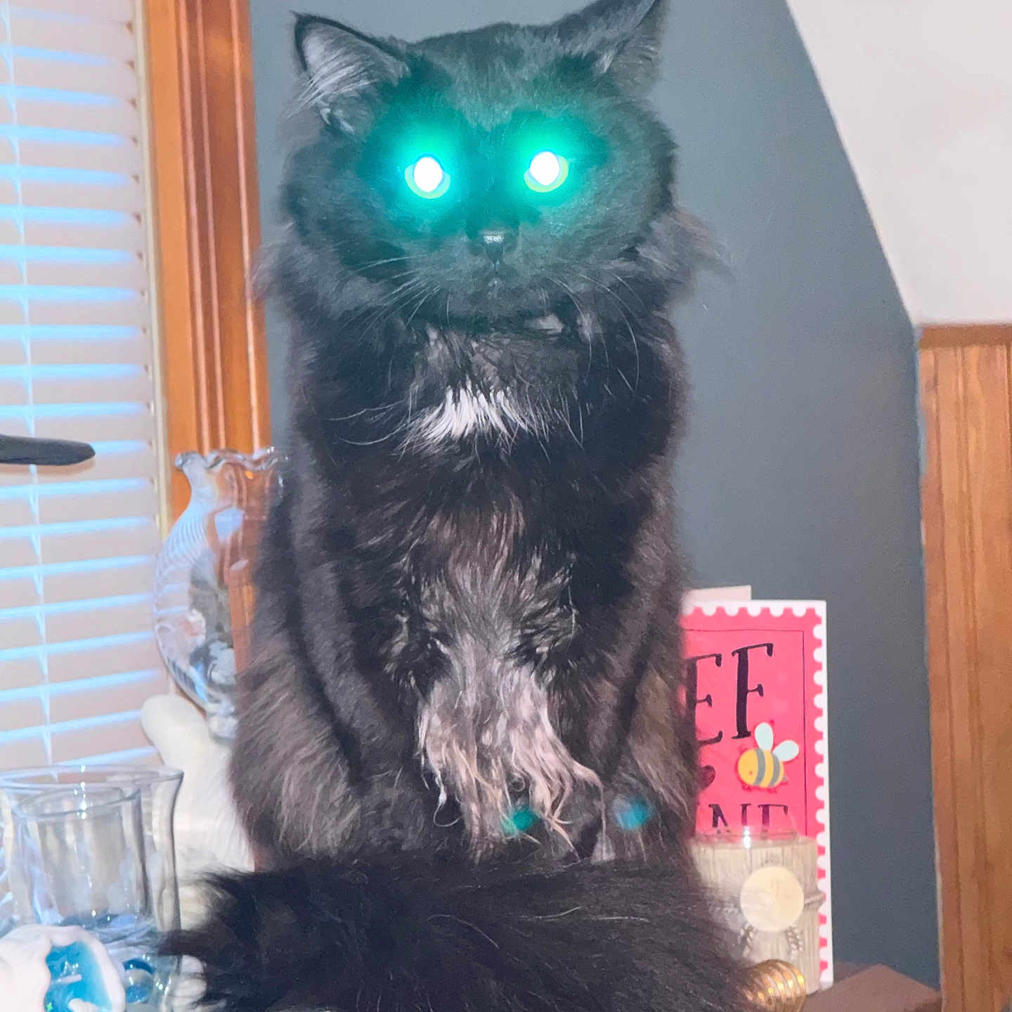 Rico