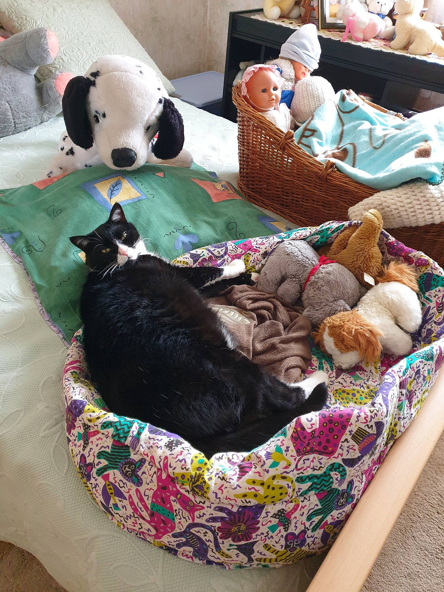 Ratatouille a rejoint le concours — aidez-le/la à gagner de superbes lots ! canidae, carnivore, dog, dog_breed, furniture, nap, non_sporting_group, play, product, puppy, sporting_group