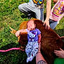 Locklynn joined the competition — help win amazing prizes! baby, calf, grass, child, tattoo, hello_kitty, animal, outdoor, nature, resting, clothing, people, hand, pink_leash, cute, sunlight, greenery, infant, casual, relaxation