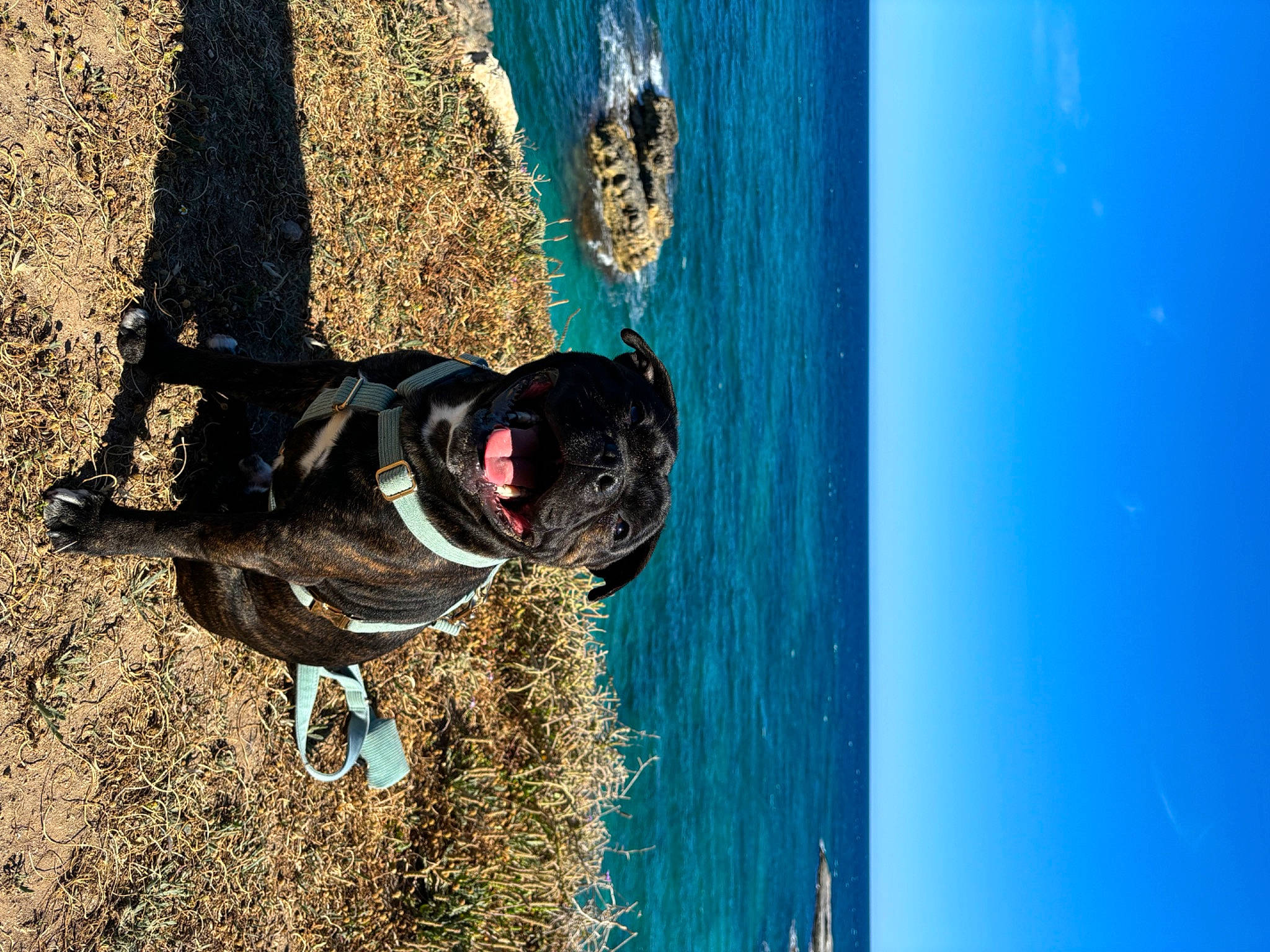 Uki participe au concours pour gagner de l'argent avec cette photo : adventure, azure, beach, boats_and_boating_equipment_and_supplies, electric_blue, extreme_sport, fun, lake, leisure, ocean, personal_protective_equipment, recreation, reflection, rock_climbing_equipment, sky, sport_climbing, tree, water, wave, winter