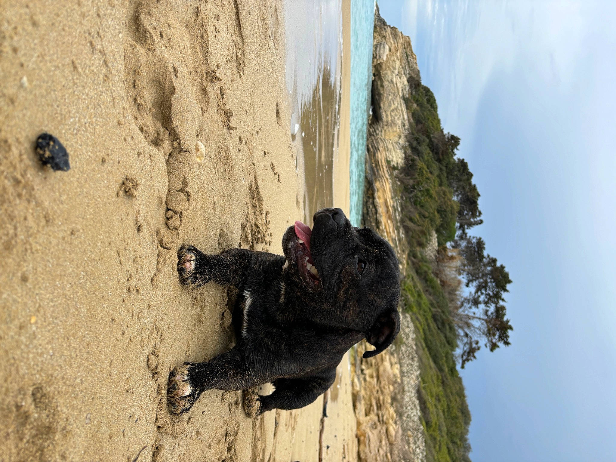 Uki a rejoint le concours — aidez-le/la à gagner de superbes lots ! adventure, bedrock, climbing, cloud, extreme_sport, klippe, landscape, mountain, mountaineer, outcrop, plant, recreation, rock, rock_climbing_equipment, shadow, sky, sport_climbing, tree, trunk, wood