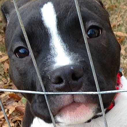 Lexie Messer is registered to the contest to win money with this photo: