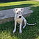 Becky