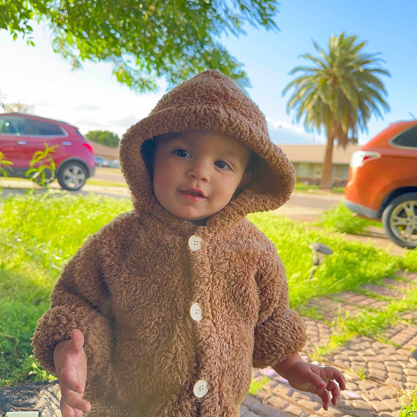 Elijah is registered to the contest to win money with this photo: alloywheel, car, carwheel, clothing, face, grass, hat, head, knitwear, machine, person, photography, plant, portrait, spoke, tire, transportation, tree, vehicle, wheel