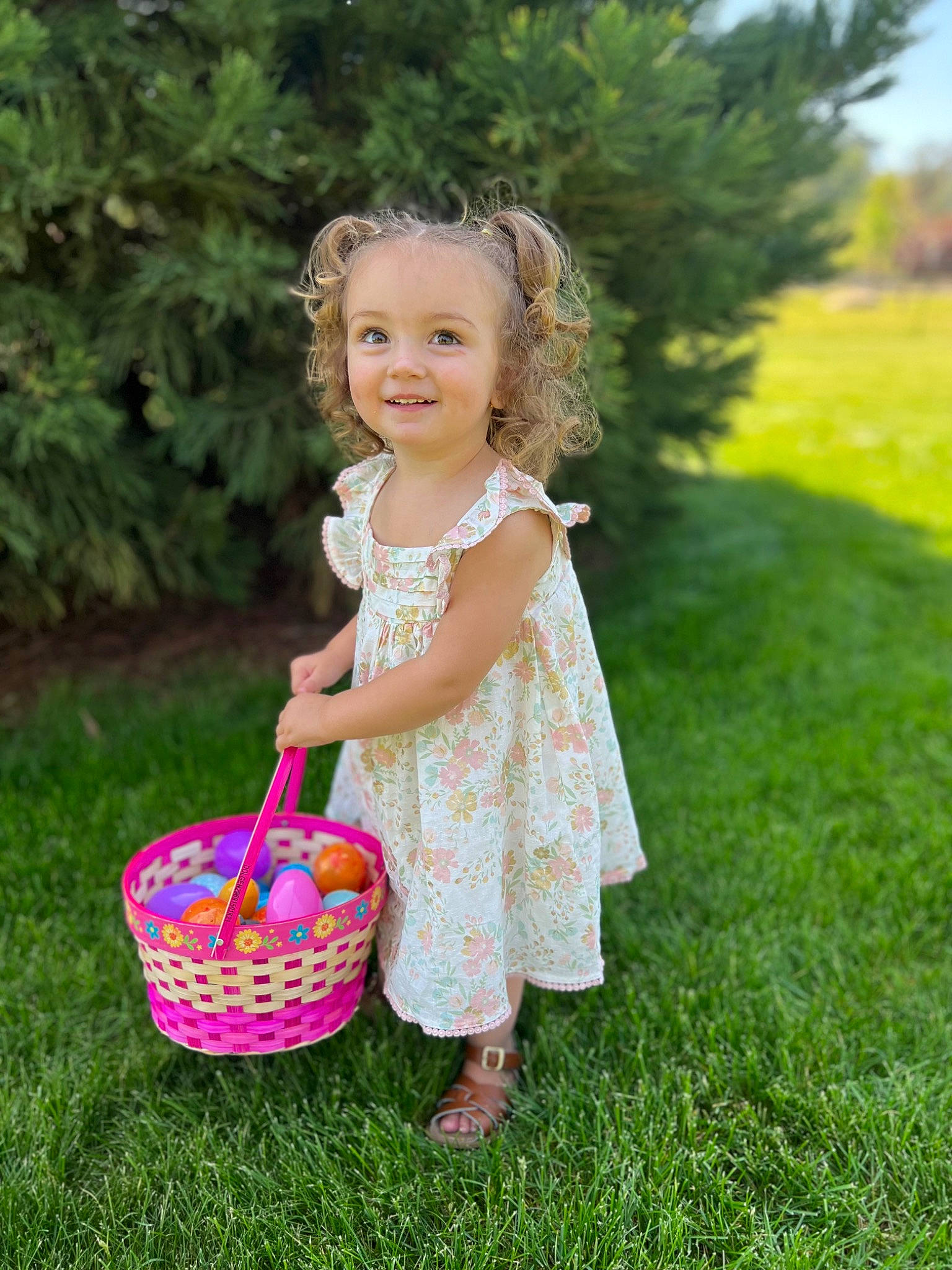 Piper is registered to the contest to win money with this photo: baby_toddler_clothing, basket, flower_girl_basket, fun, grass, grass_family, happy, joy, lawn, leisure, pattern, people_in_nature, person, picnic_basket, pink, plant, recreation, smile, storage_basket, summer