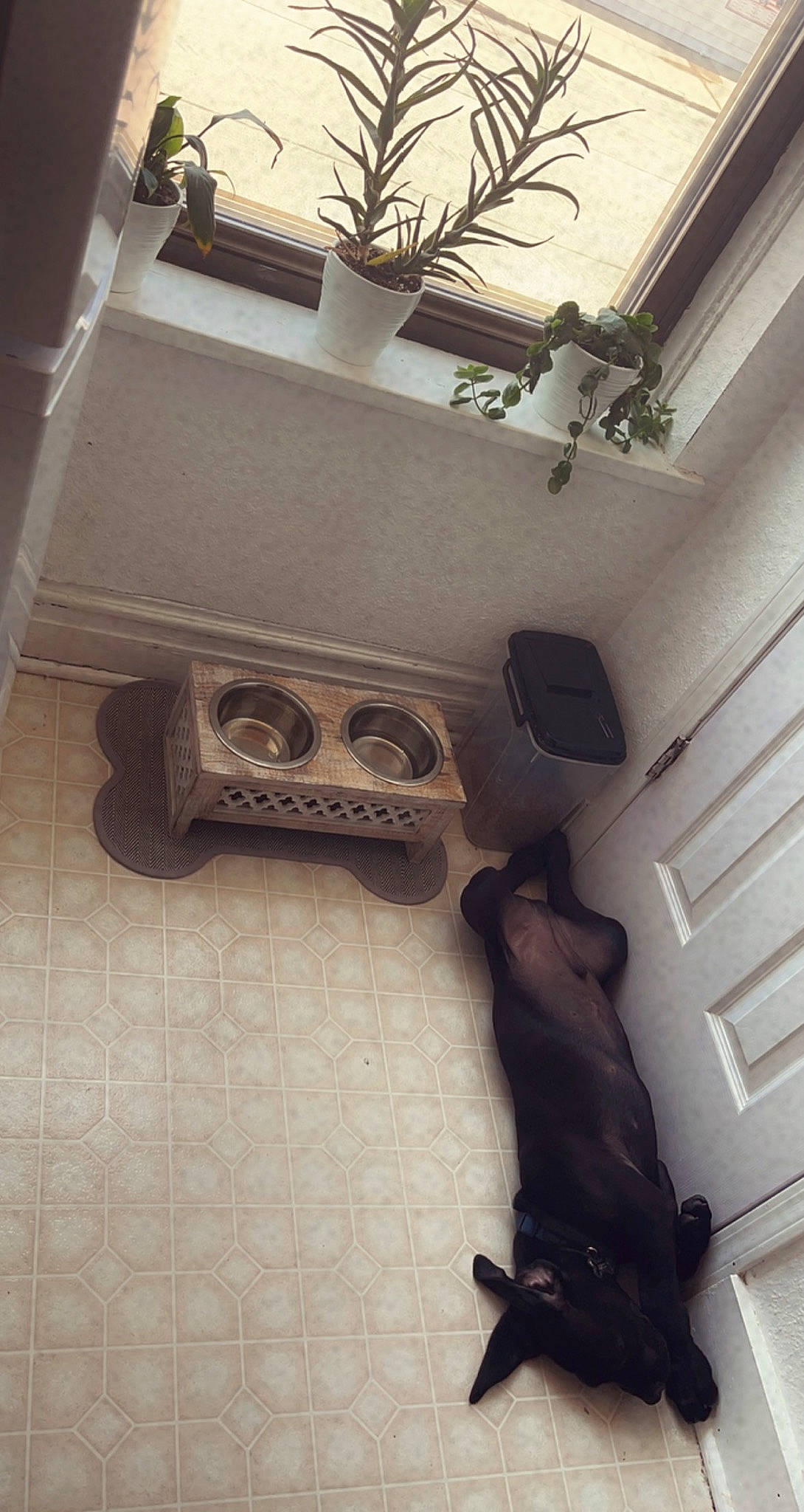 Blue Dream joined the competition — help win amazing prizes! arch, art, building, ceiling, column, facade, flooring, font, hardwood, house, light_fixture, metal, molding, plaster, room, sconce, sculpture, tints_and_shades, visual_arts, wood