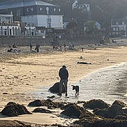 Thor participe au concours pour gagner de l'argent avec cette photo : beach, person, dog, sand, rocks, seaweed, water, ocean, shore, walking, relaxing, buildings, seawall, sunlight, outdoor, nature, people, coast, recreation, leisure
