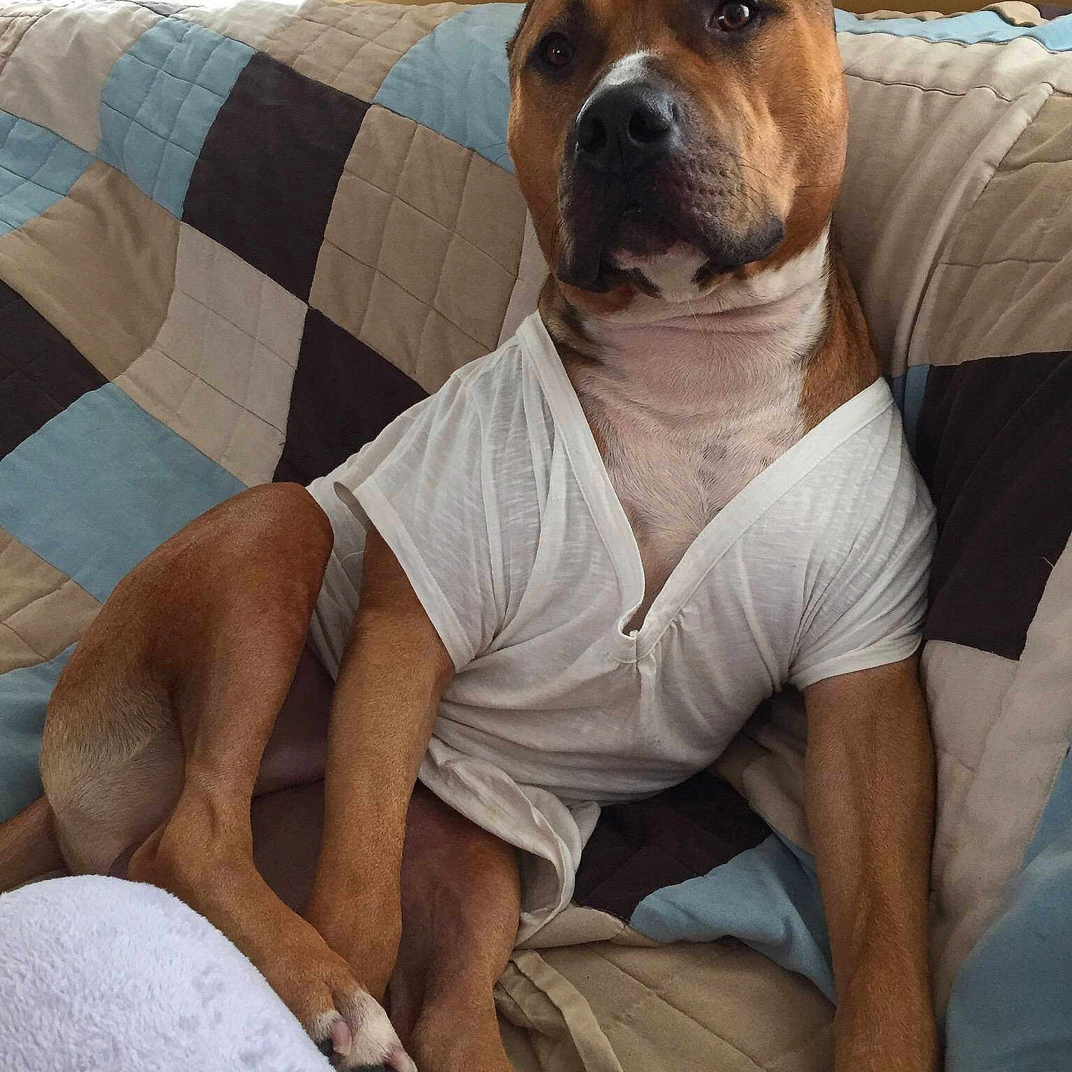 Zues is registered to the contest to win money with this photo: