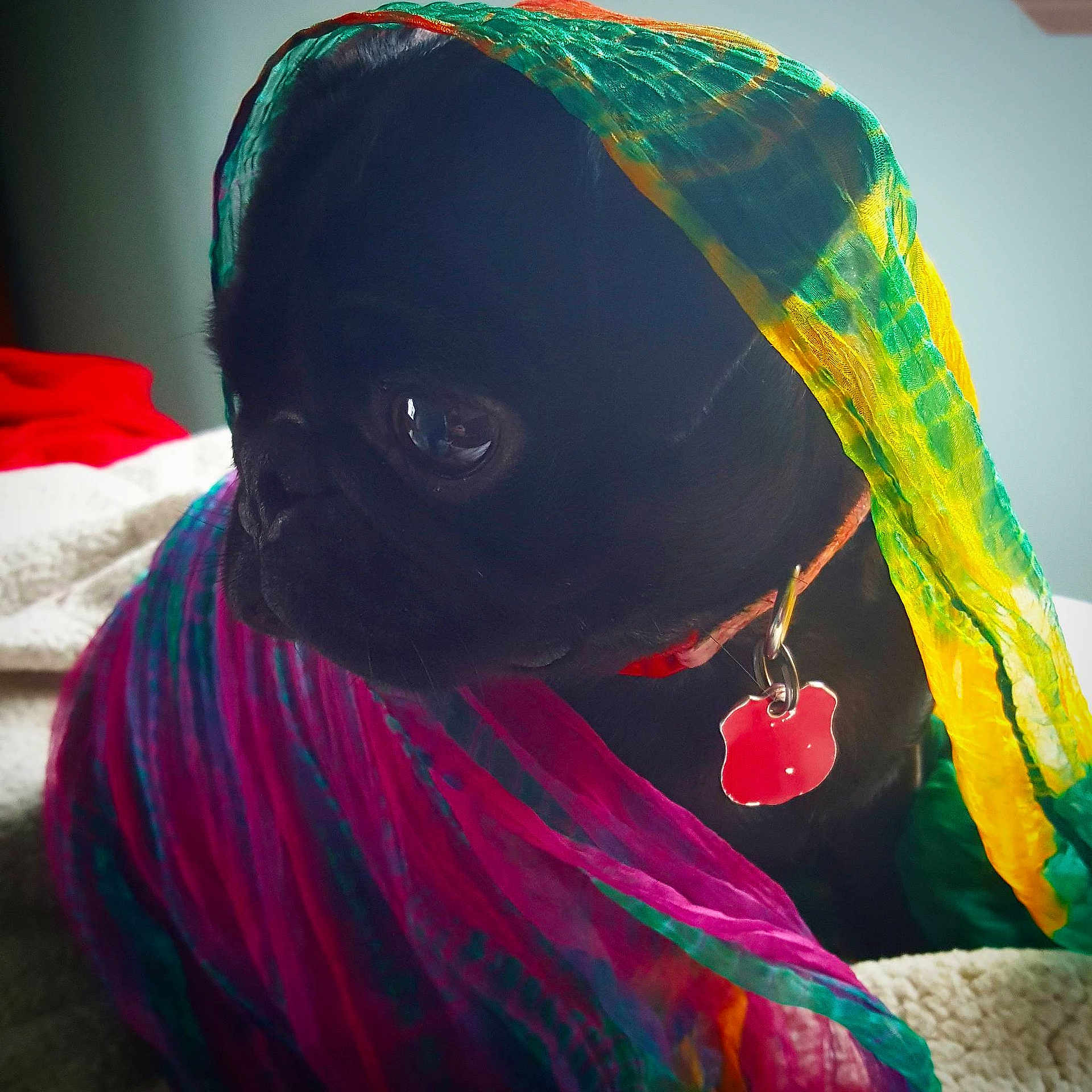 Elsa is registered to the contest to win money with this photo: