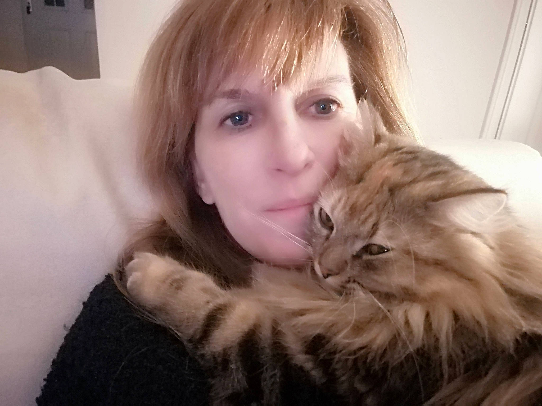 Lili participe au concours pour gagner de l'argent avec cette photo : bangs, carnivore, cat, comfort, companion_dog, ear, eyelash, fawn, felidae, fur_clothing, gesture, happy, human_body, jaw, layered_hair, natural_material, nose, small_to_medium_sized_cats, smile, whiskers