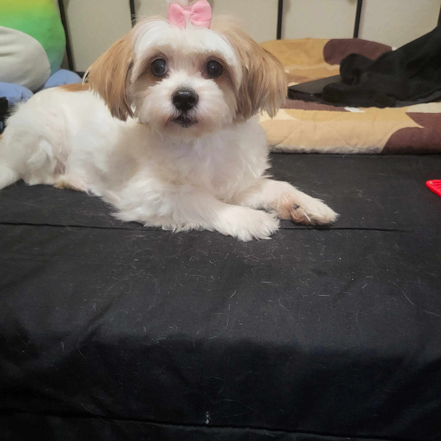 Fluffy