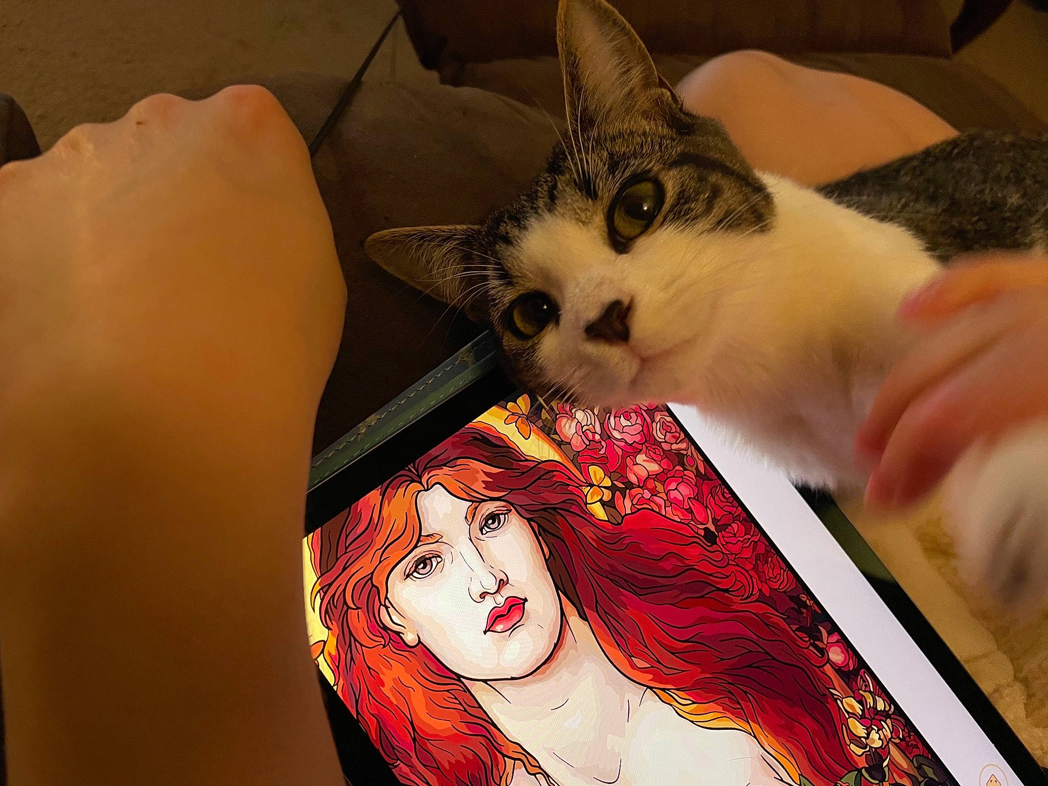 Mittens is registered to the contest to win money with this photo: art, carnivore, cat, child, comfort, domestic_short_haired_cat, eyelash, felidae, finger, flesh, fur, gesture, lap, linens, nail, pattern, paw, small_to_medium_sized_cats, visual_arts, whiskers