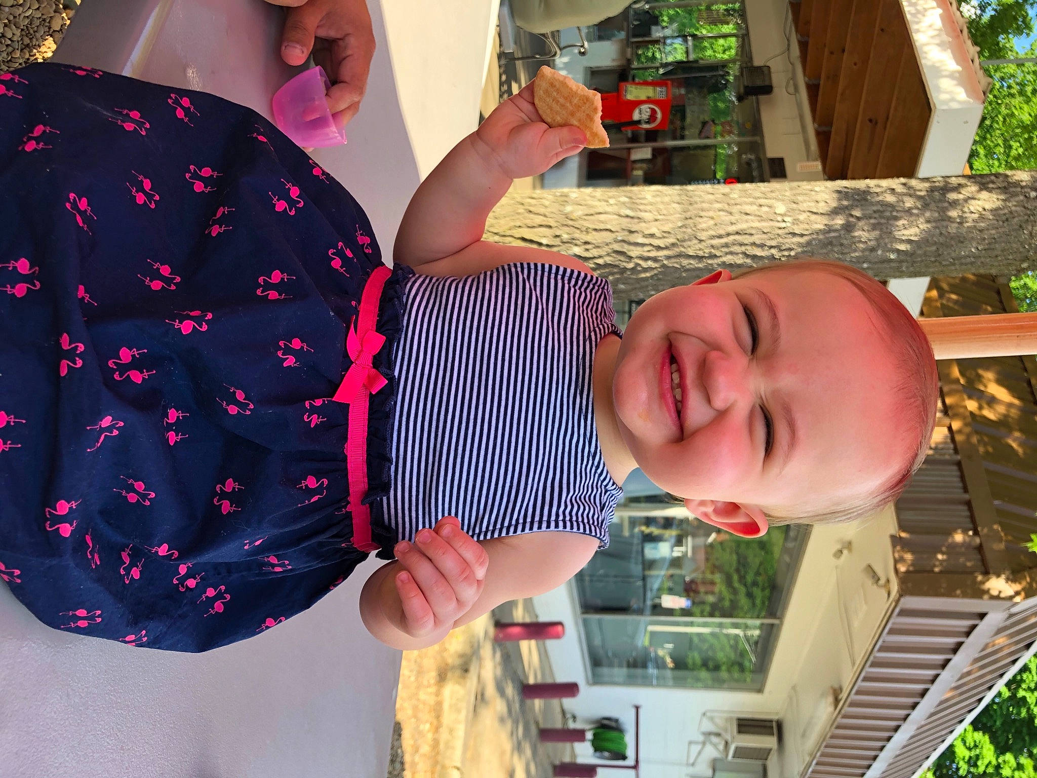 Hartley joined the competition — help win amazing prizes! arm, baby_toddler_clothing, black, finger, fun, gesture, green, happy, human_body, joy, leaf, leisure, light, person, photograph, pink, red, smile, toddler, tree