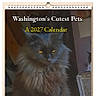 animal, bed, black_cat, calendar, calendar_cover, cat, cozy, cute, domestic_cat, feline, flashlight, fluffy, fur, furniture, indoor, pet, portrait, room, sitting, yellow_eyes
