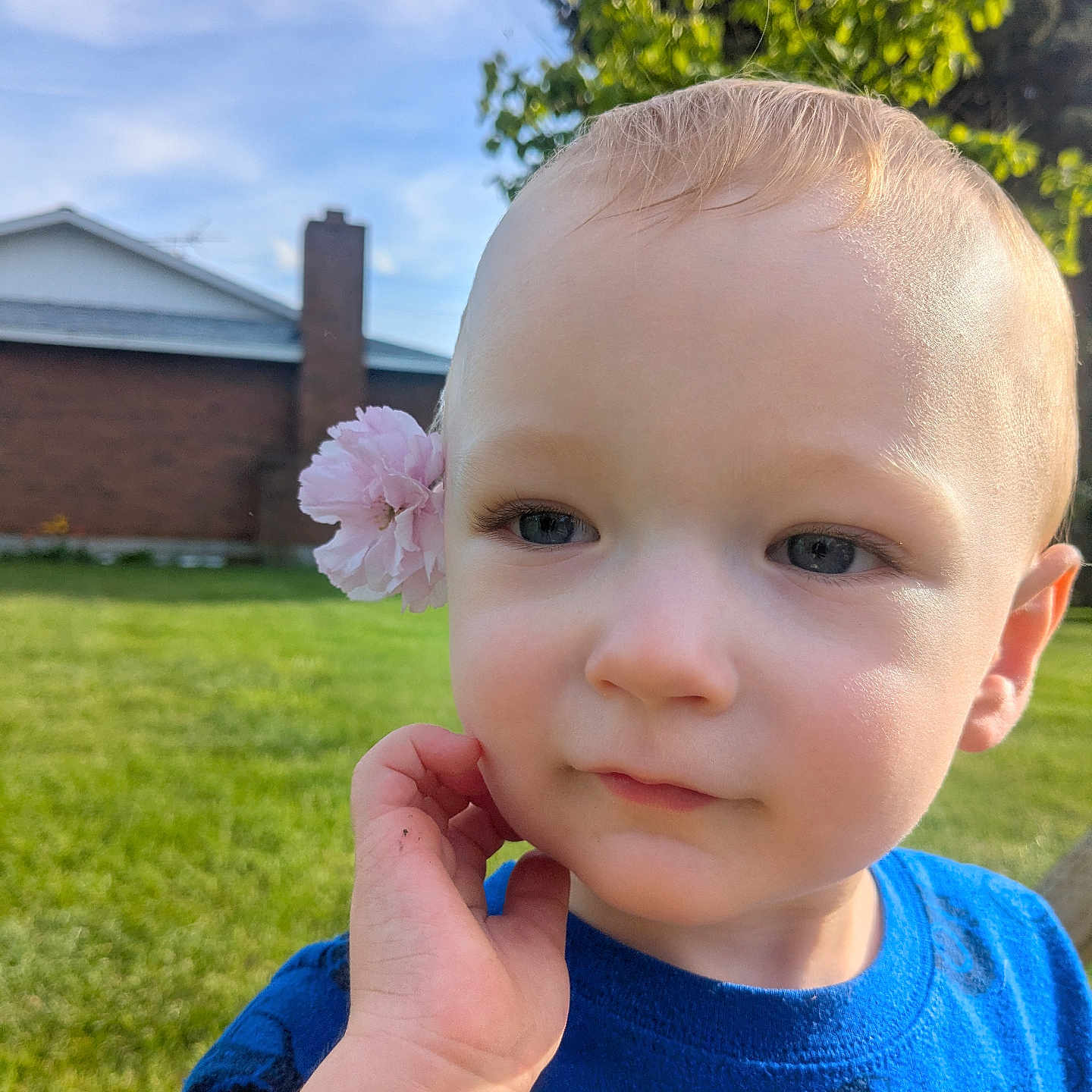 Finn