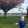 Finn is registered to the contest to win money with this photo: toddler, child, grass, tree, cherry_blossom, pink_flowers, blue_shirt, outdoor, daylight, smiling, house, sky, nature, plant, field, young_child, portrait, happy, greenery, summer