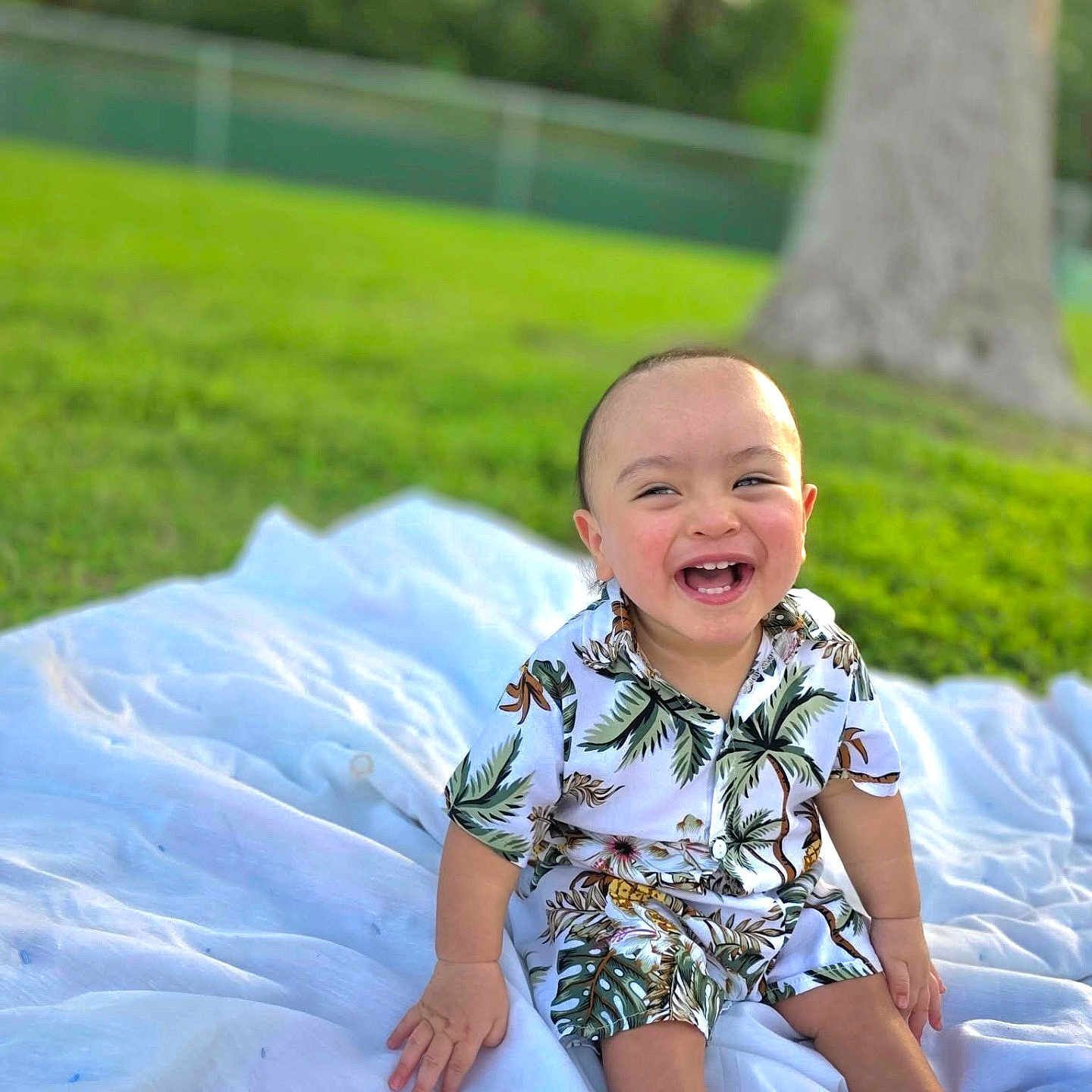 Moses is registered to the contest to win money with this photo: toddler, child, smiling, laughing, outdoor, blanket, grass, tree, nature, greenery, happy, portrait, clothing, shorts, shirt, barefoot, sunlight, park, person, baby