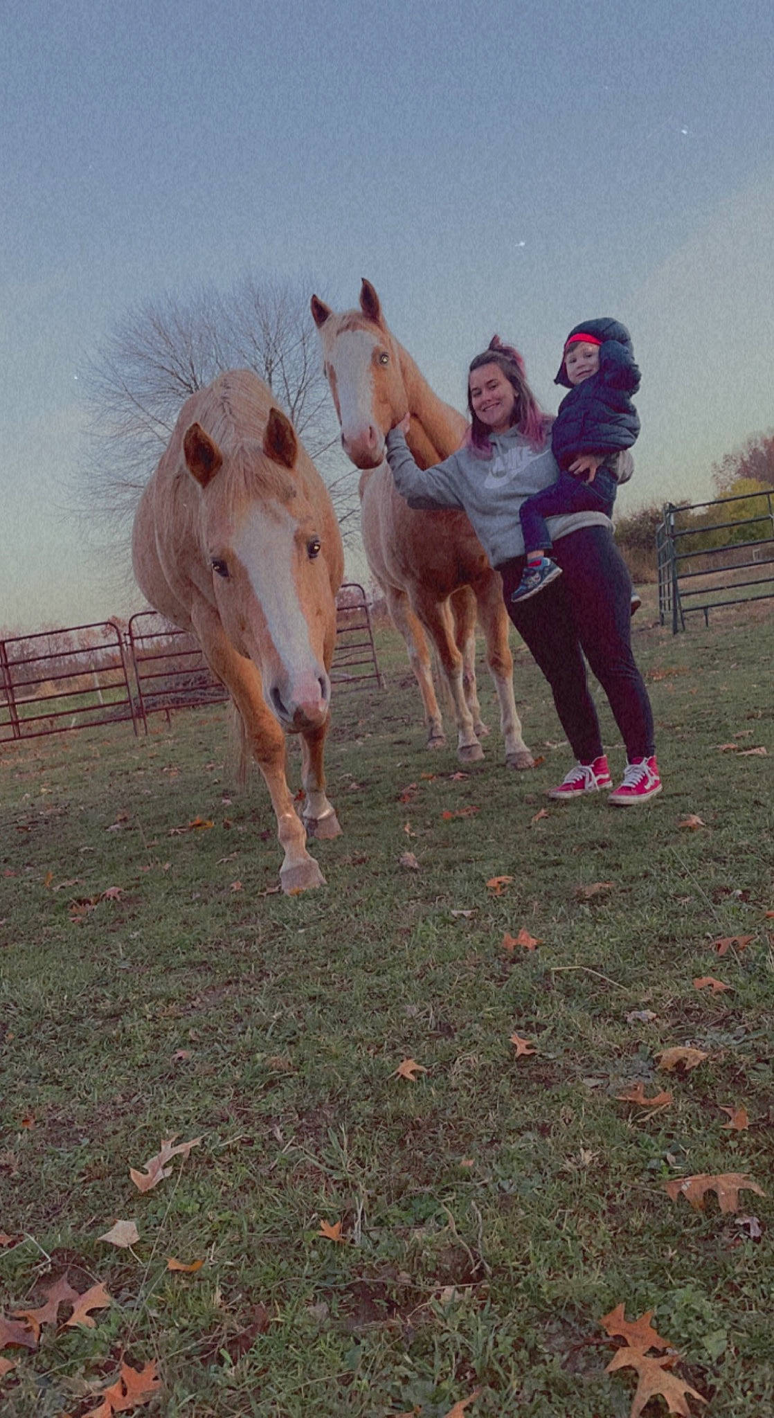 Jase joined the competition — help win amazing prizes! bridle, fawn, grass, grassland, happy, headwear, horse, horse_supplies, horse_tack, joy, landscape, livestock, mane, pack_animal, people_in_nature, person, plant, recreation, rein, sky