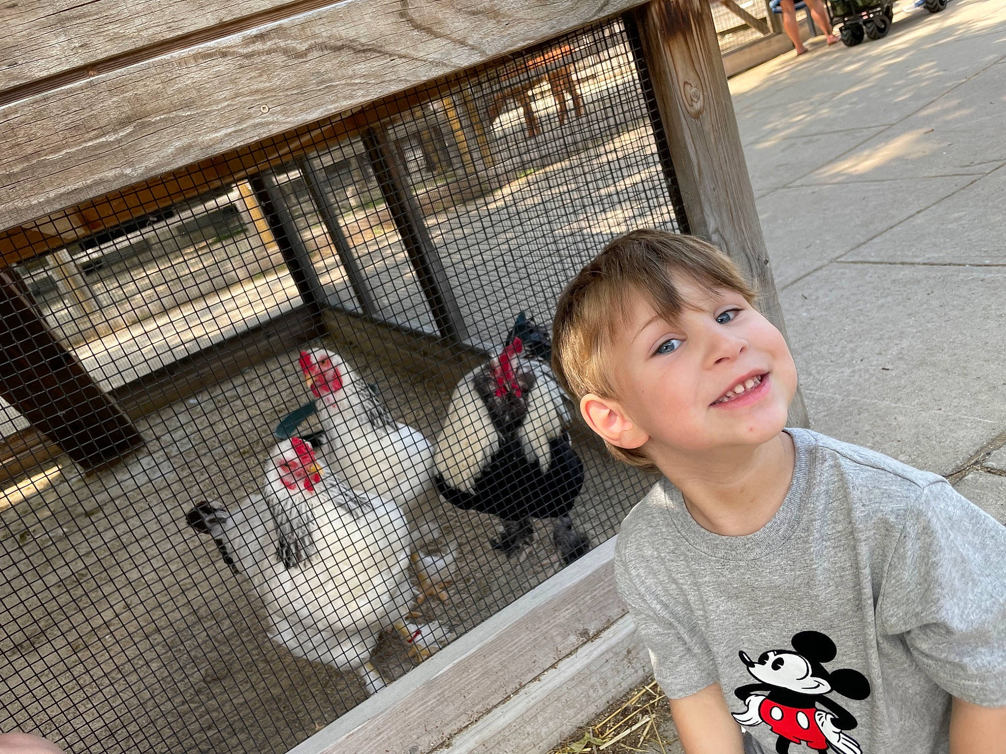 Jase joined the competition — help win amazing prizes! animal_shelter, cage, child, composite_material, fence, fun, grass, happy, joy, leisure, mesh, net, person, pet_supply, poultry, recreation, smile, soil, t_shirt, toddler