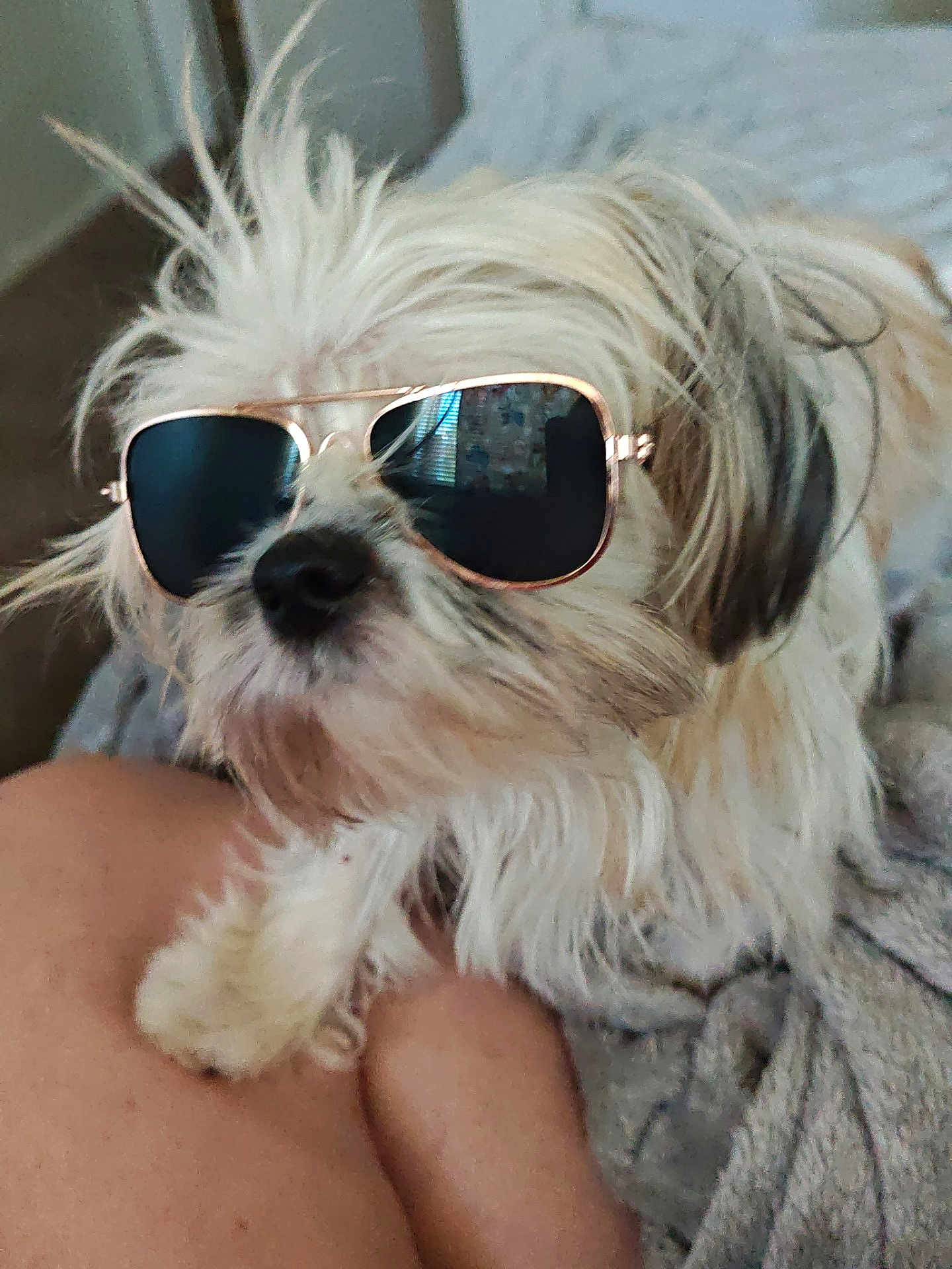 Poppy Ann