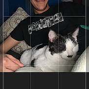 Jade is registered to the contest to win money with this photo: person, cat, selfie, tuxedo_cat, pillow, blanket, smile, facial_hair, indoor, bedroom, flash, cushion, hand, shirt, logo_on_shirt, screenshot, crop_overlay, grid_lines, cozy, pet