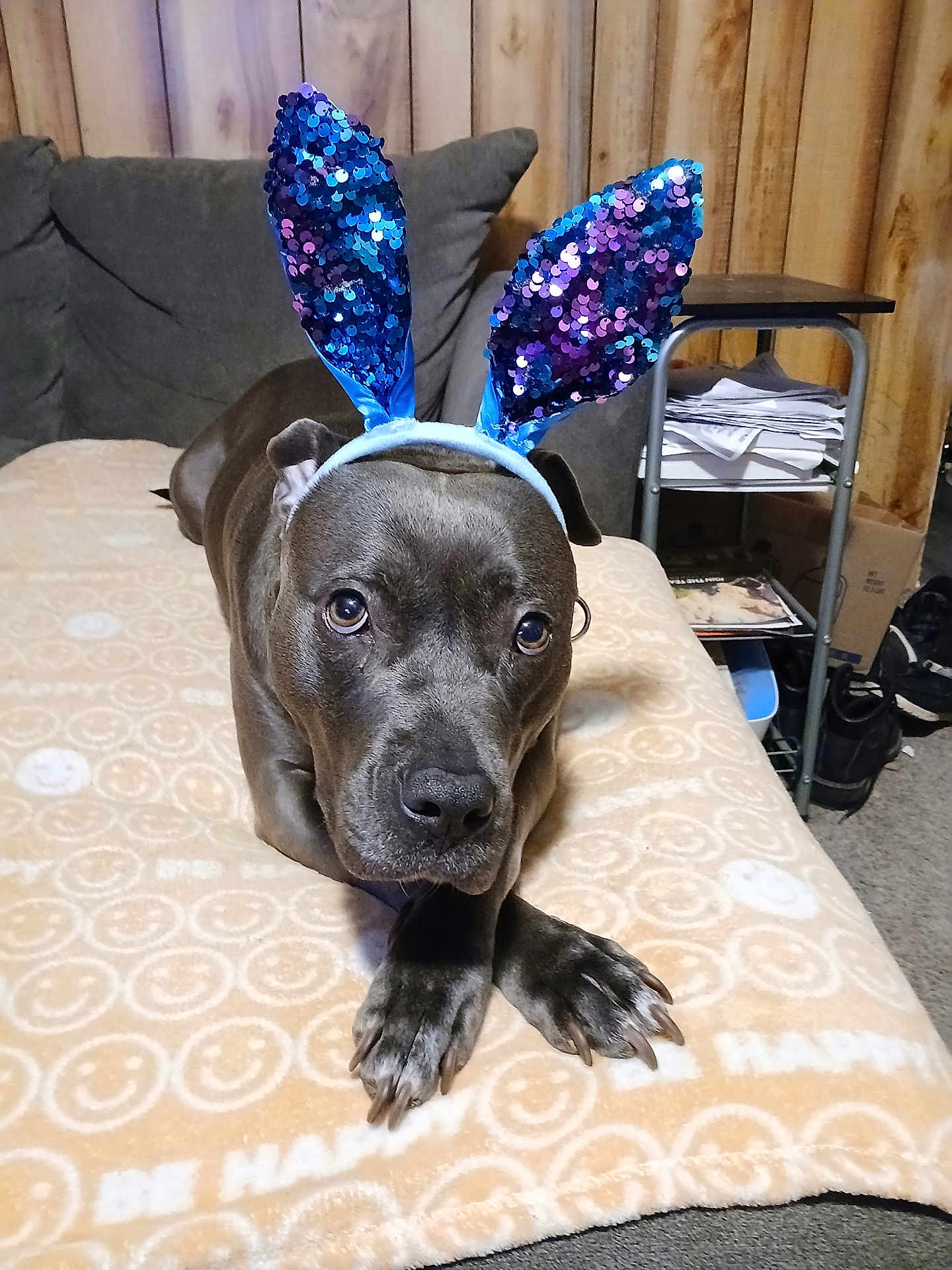Zena