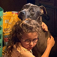 Zena joined the competition — help win amazing prizes! affection, black_dog, bond, cabinet, caring, child, close_up, curly_hair, dog, expression, friendship, glasses, home, hug, human, indoor, love, person, pet_food, portrait