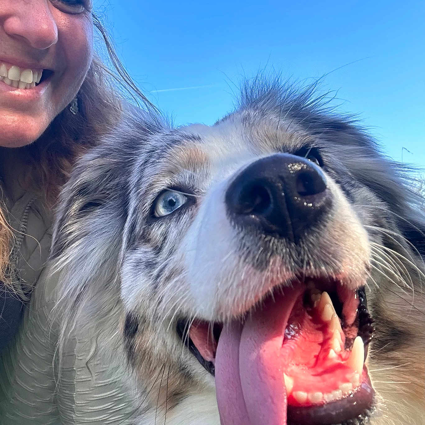 Umaï participe au concours pour gagner de l'argent avec cette photo : adult, animal, bodypart, canine, dog, face, female, grass, head, husky, lady, mouth, person, pet, photography, plant, portrait, puppy, teeth, woman