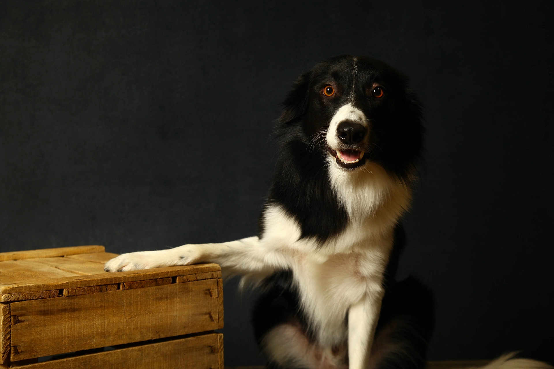 Sam