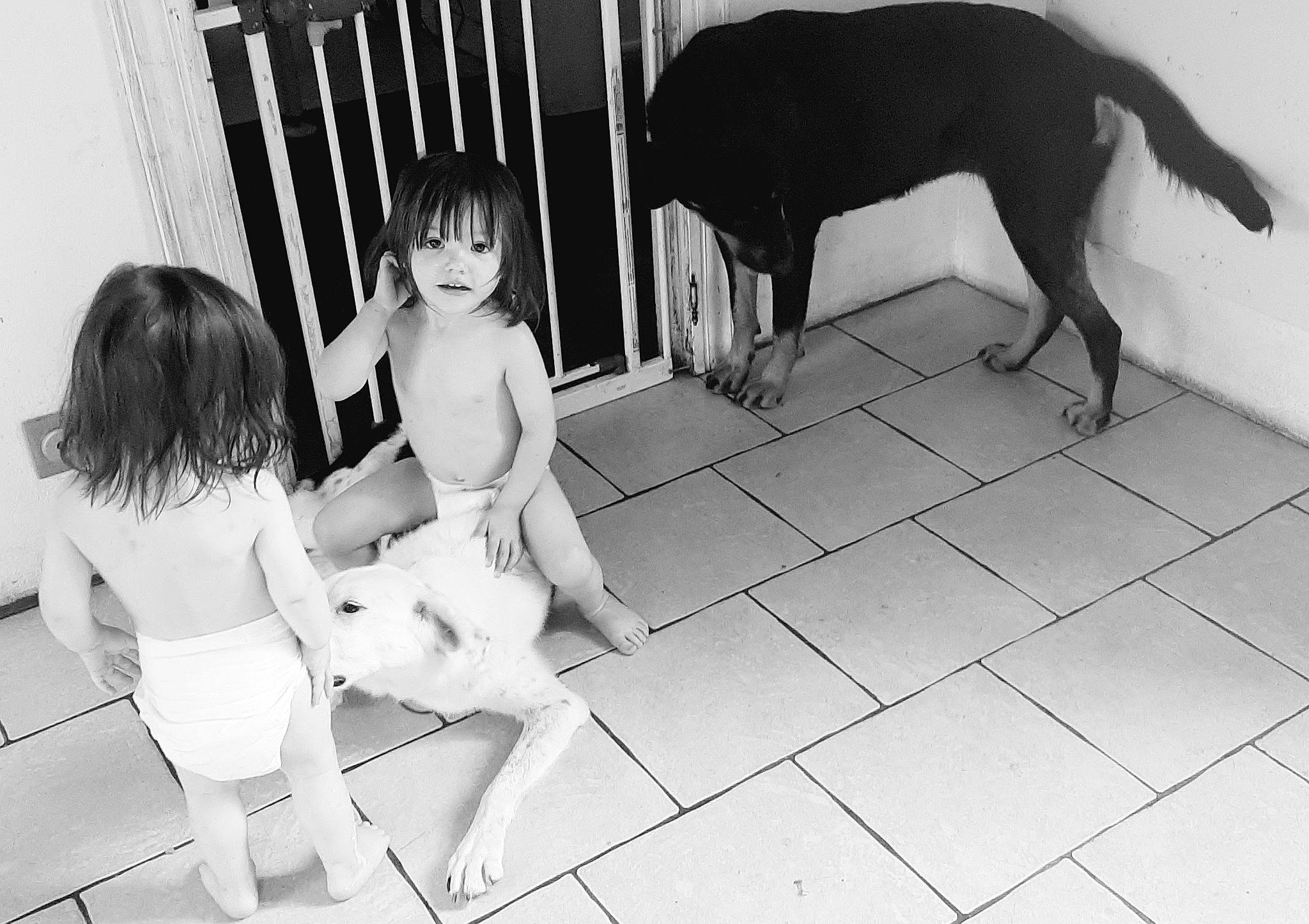 Rose a rejoint le concours — aidez-le/la à gagner de superbes lots ! barefoot, black, black_and_white, carnivore, dog, floor, flooring, fun, gesture, happy, human, human_leg, knee, monochrome, monochrome_photography, person, standing, style, thigh, toddler